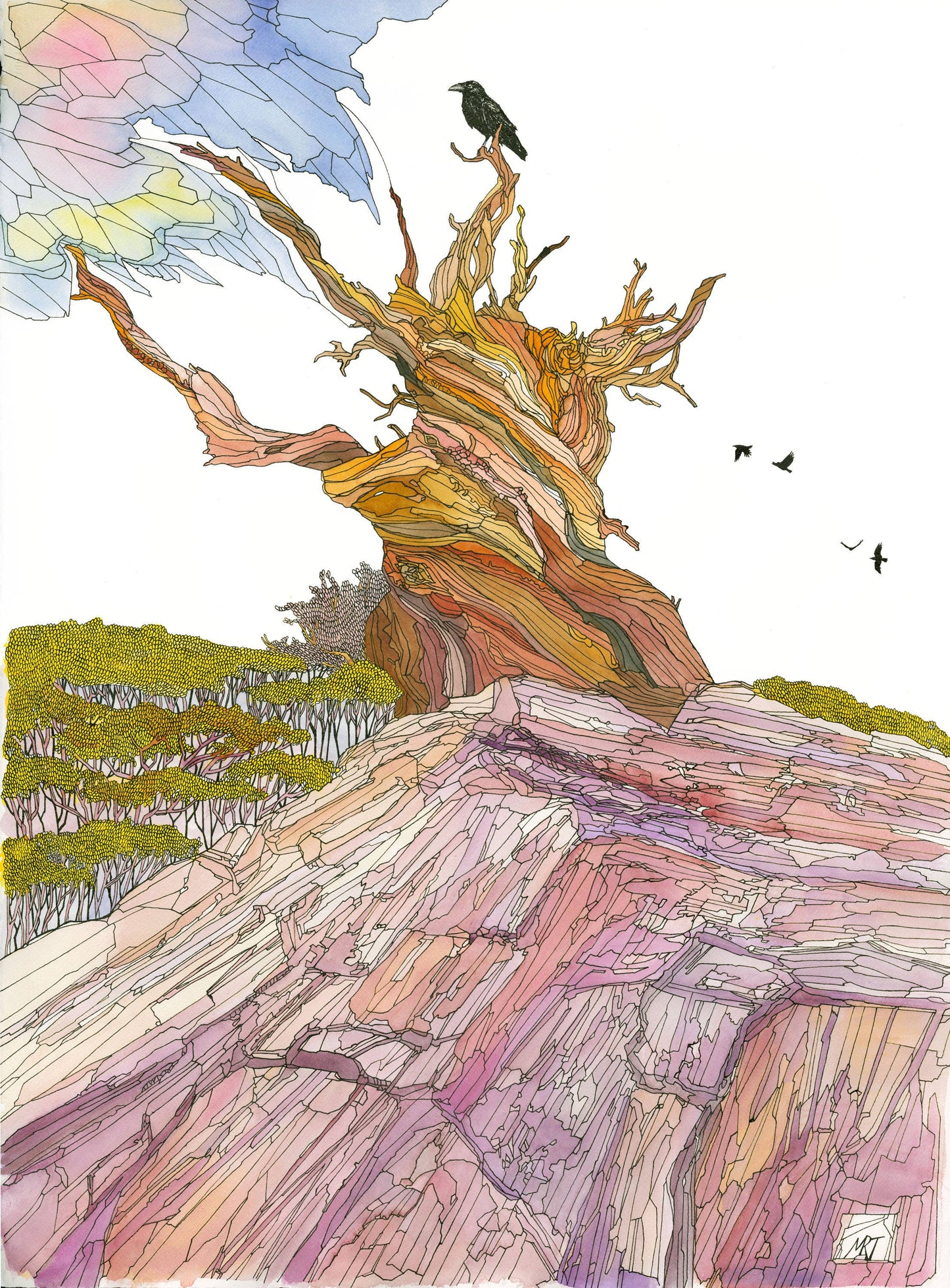 Methuselah II card