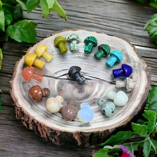 Assorted Mini Stone Mushroom