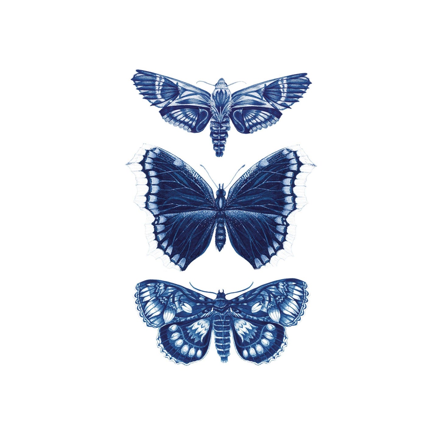 Sapphire Moths Tattoo Pair