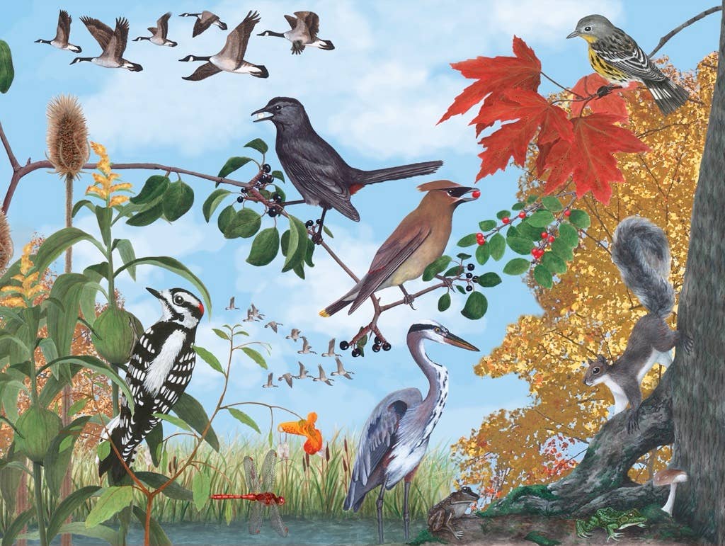 Autumn Trail 1000 Piece Puzzle