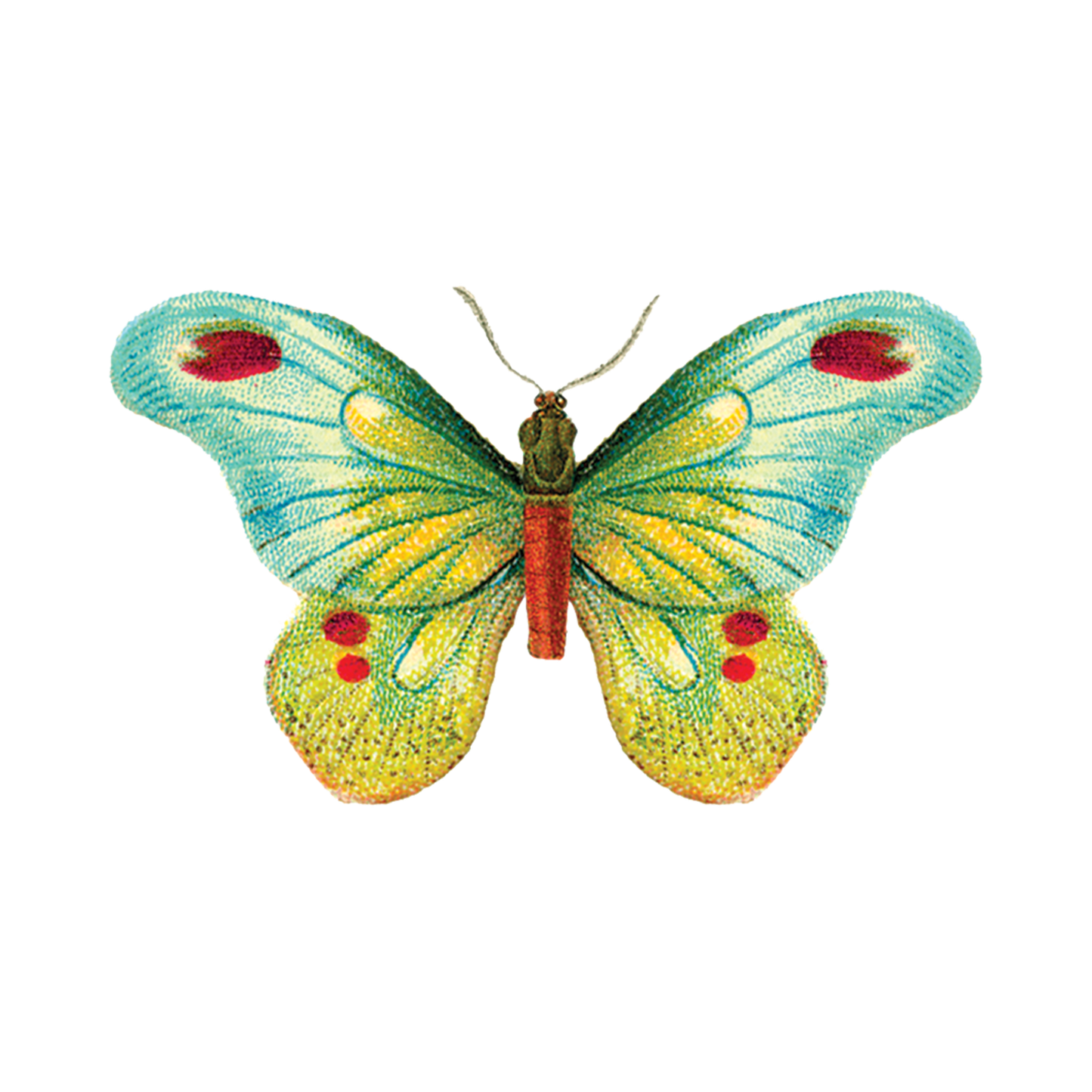 Green Butterfly Tattoo Pair