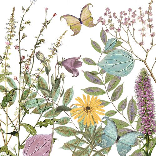 Butterfly Garden Beverage Napkins