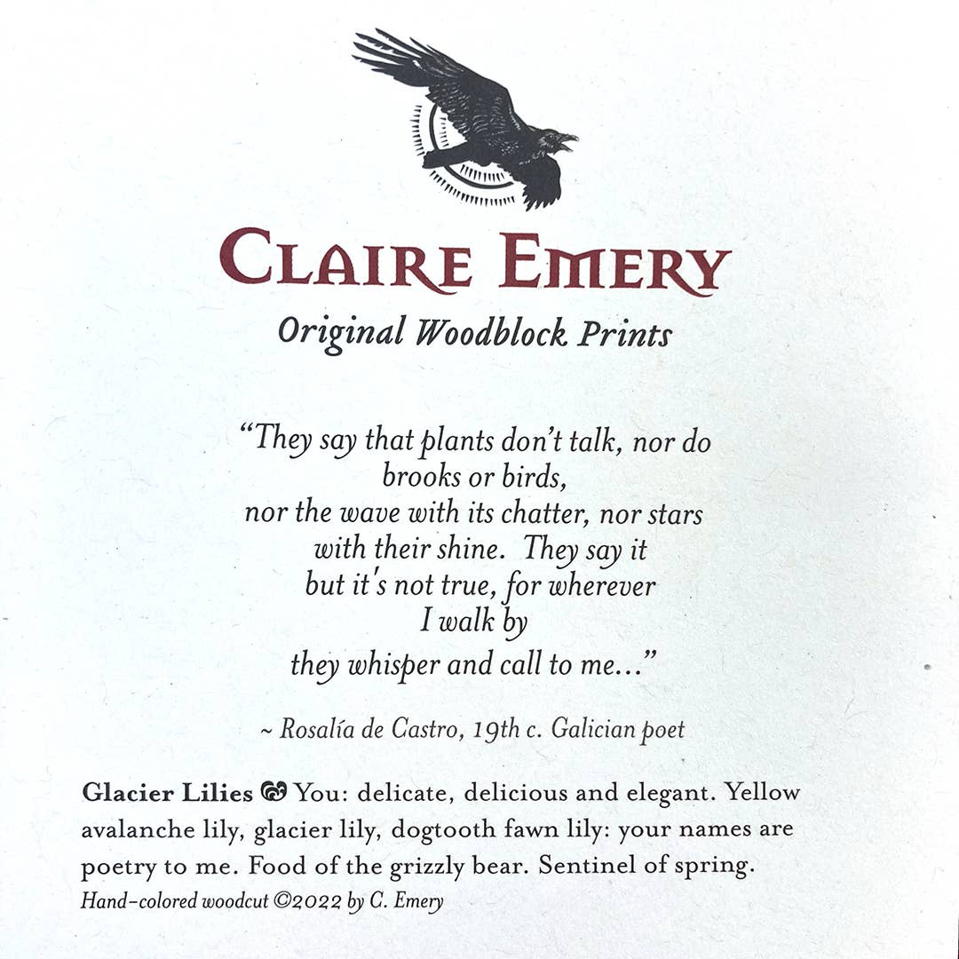 Glacier Lily Card