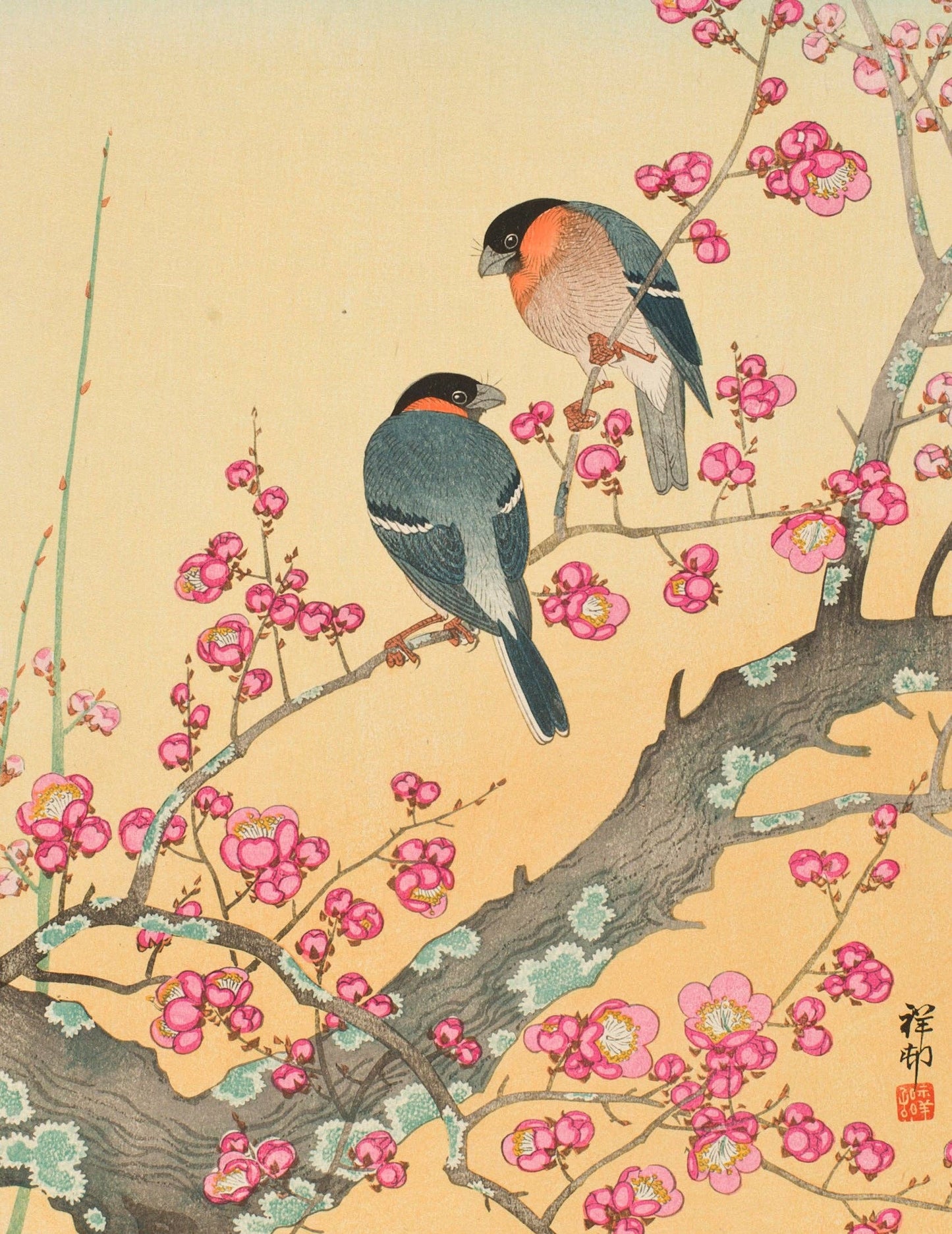 Ohara Shōson Keepsake Boxed Cards