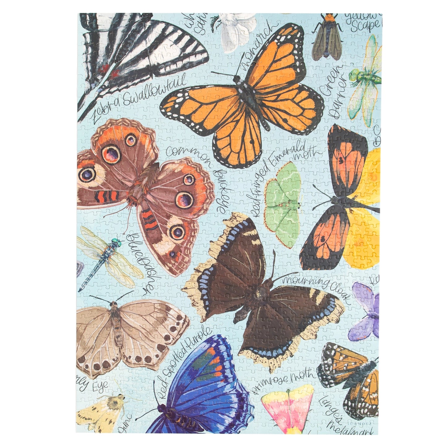 Flutter Friends Butterfly 1000 Piece Puzzle