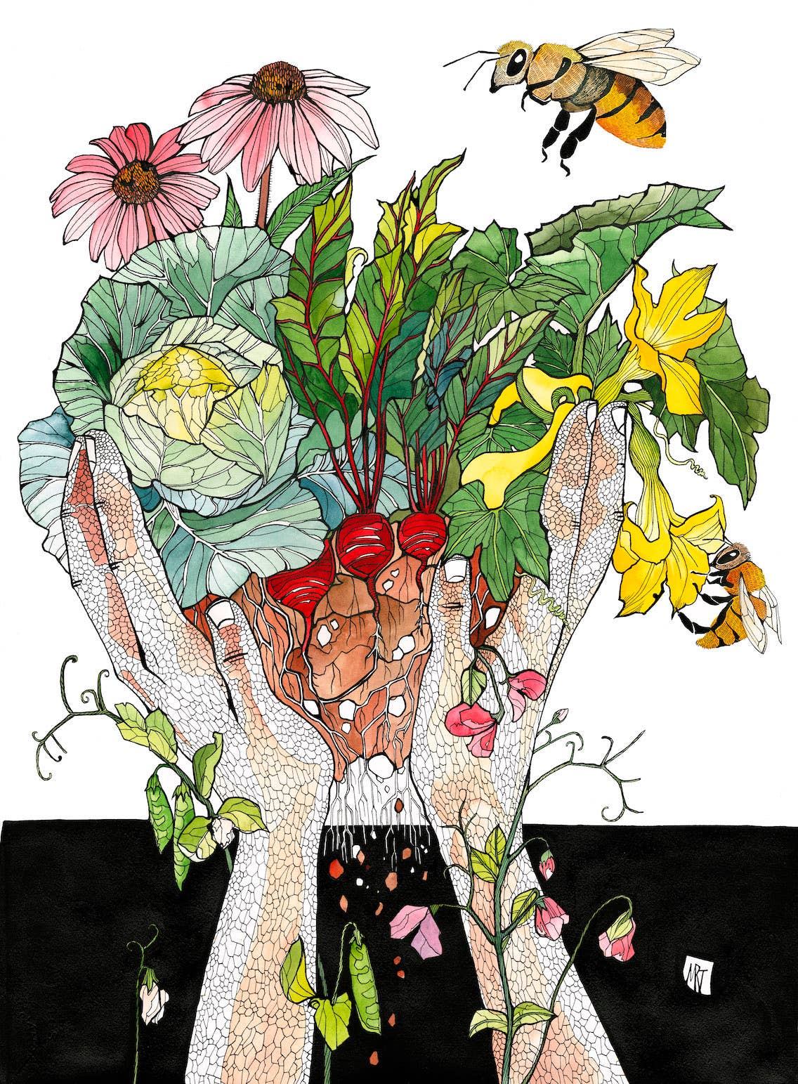 Summer's Bounty Card