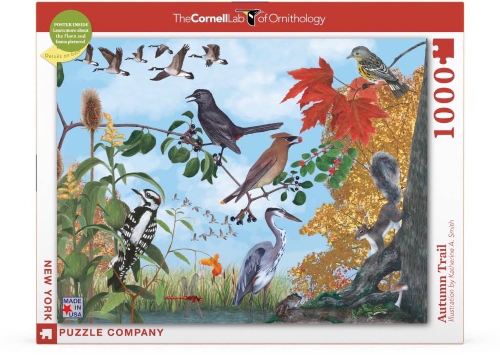 Autumn Trail 1000 Piece Puzzle