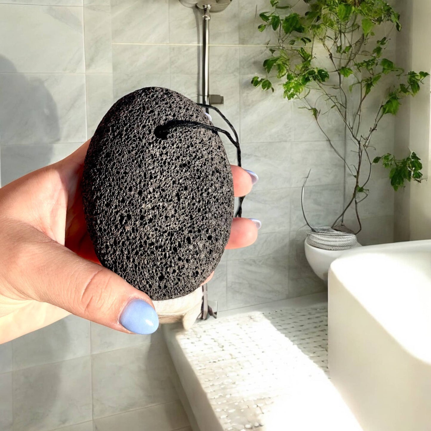 Large Pumice Stone