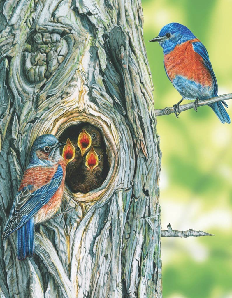 Western Bluebird 100 Piece Mini Puzzle