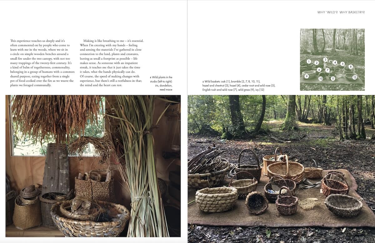 Wild Basketry: Making Baskets From Foraged Plants