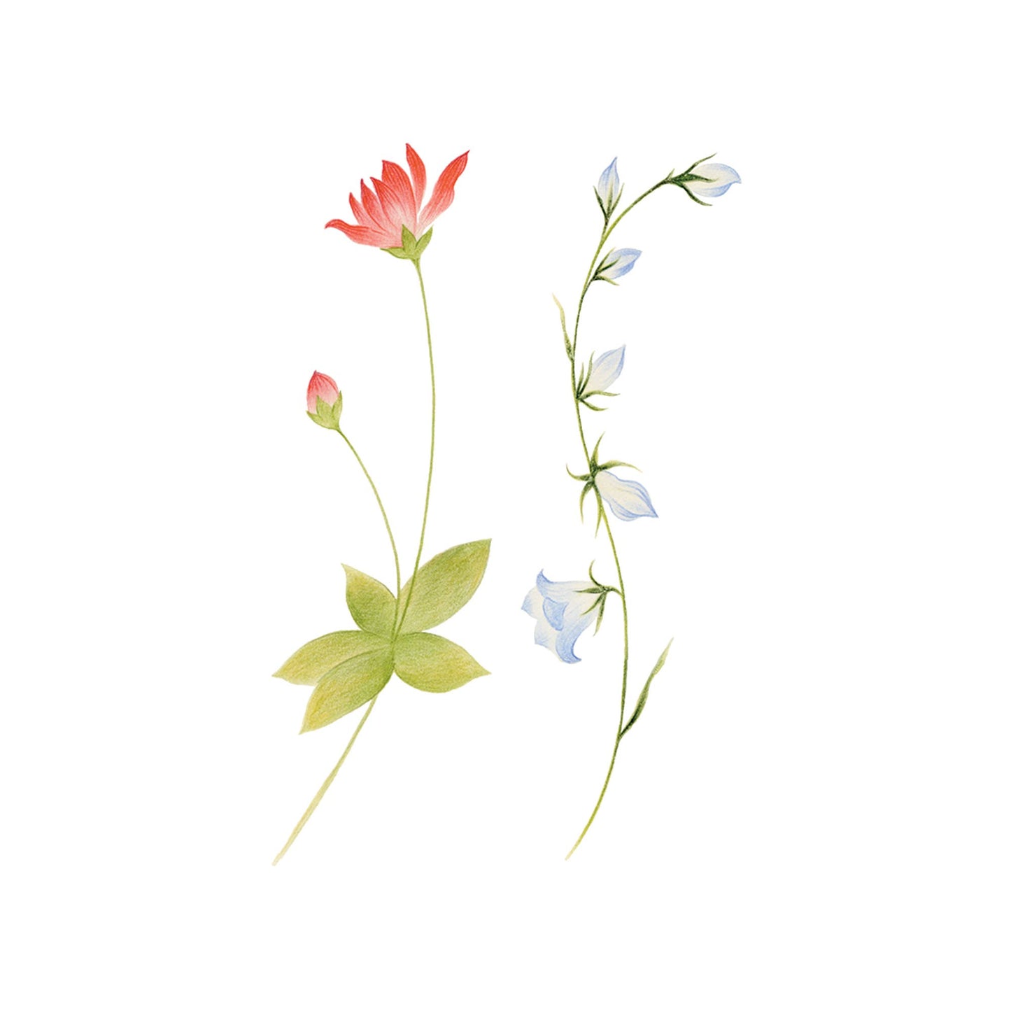 Spring Sprigs Tattoo Pair