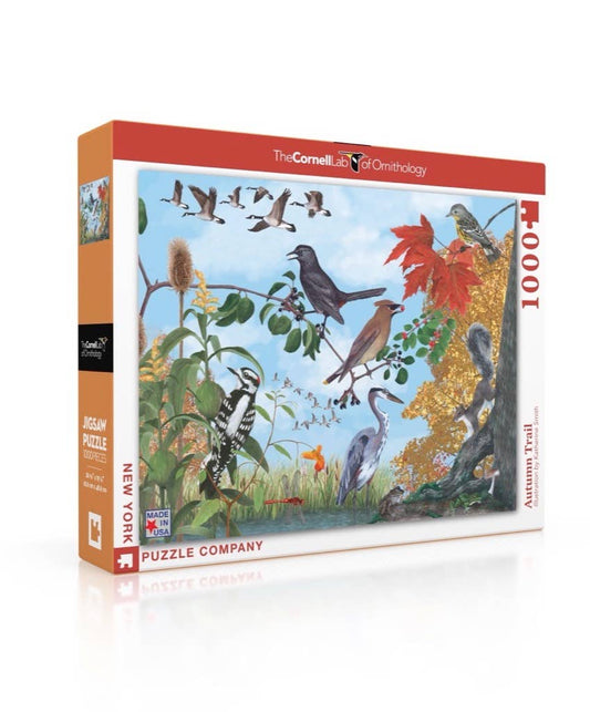 Autumn Trail 1000 Piece Puzzle