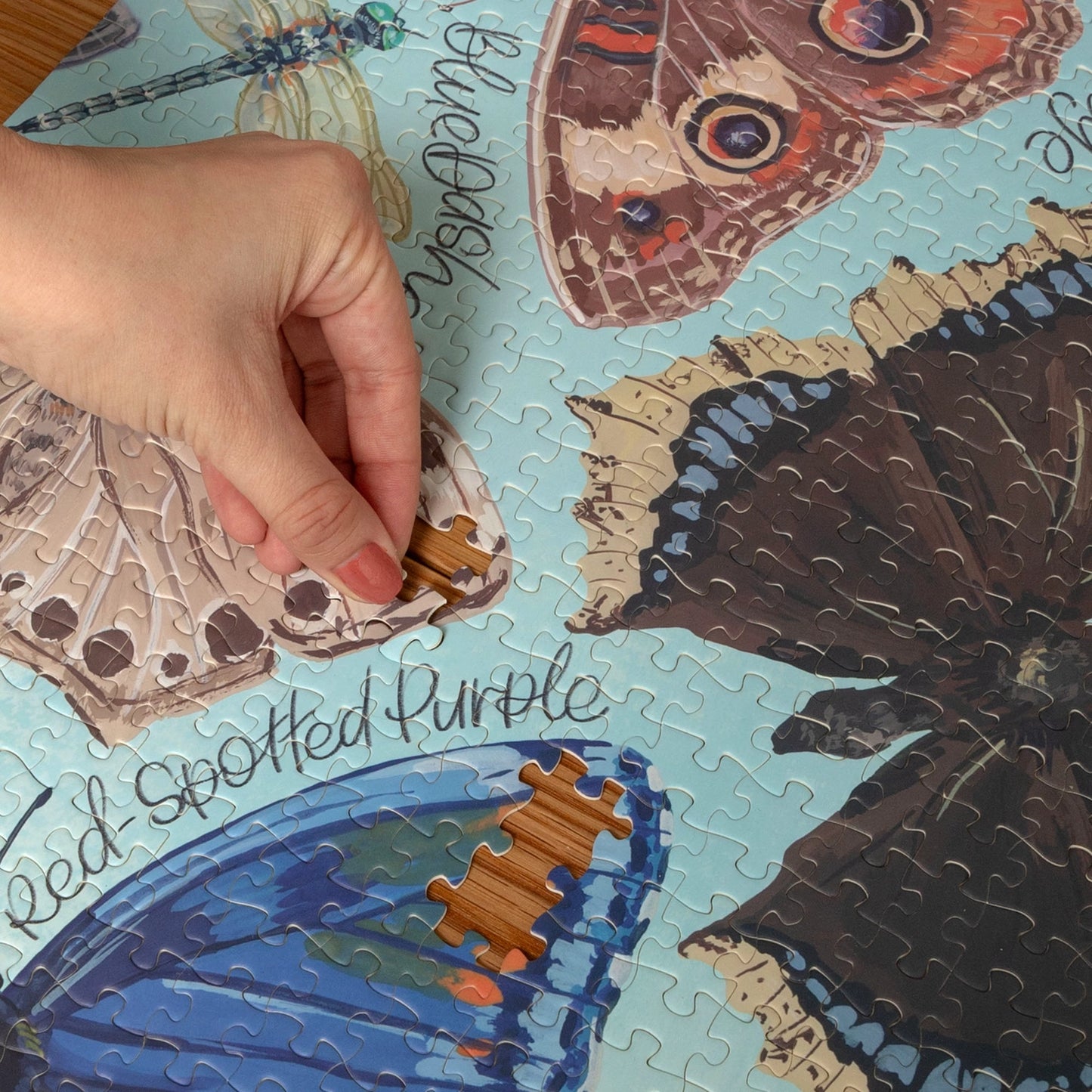 Flutter Friends Butterfly 1000 Piece Puzzle