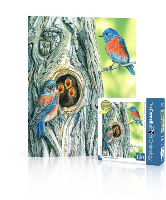 Western Bluebird 100 Piece Mini Puzzle