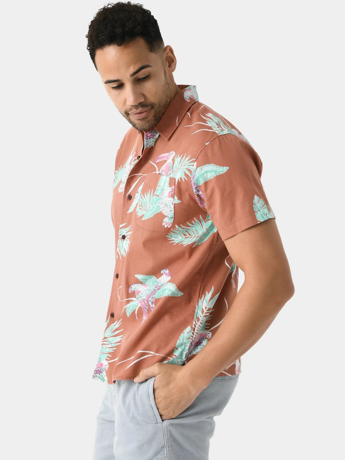 Paradise Shirt | Katin