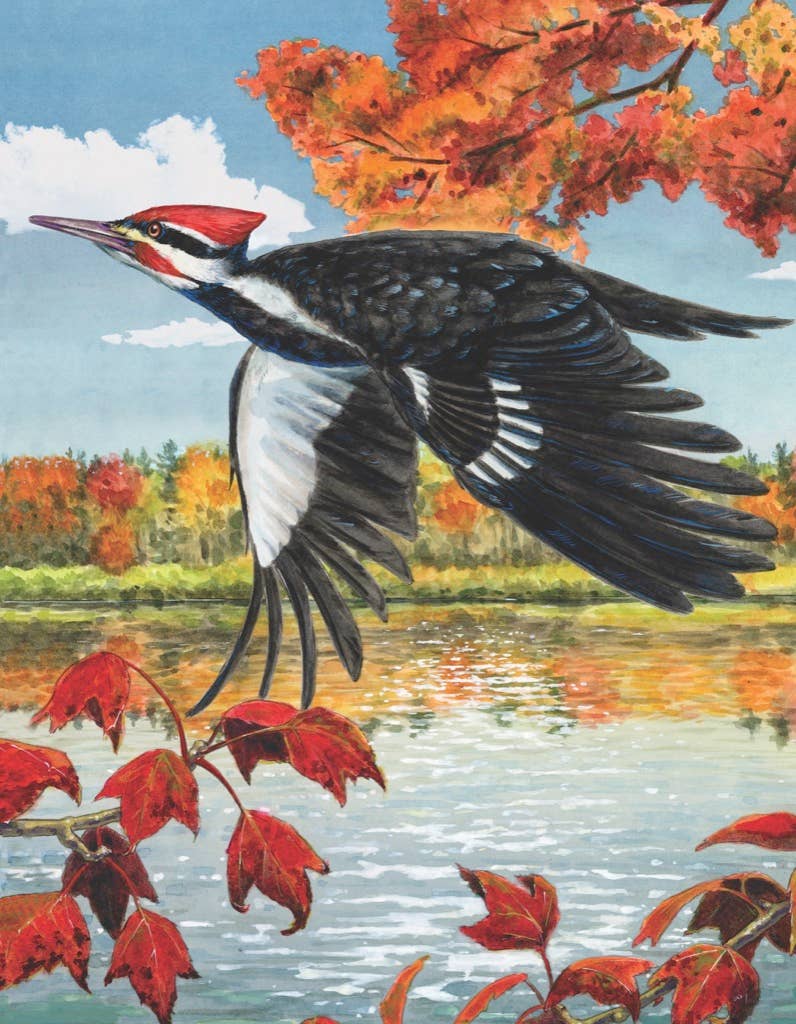 Pileated Woodpecker Mini 100 Piece Mini Puzzle