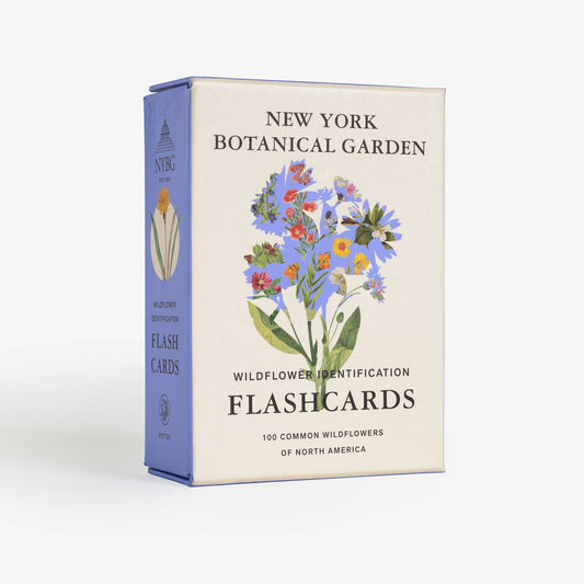 New York Botanical Wildflower Flashcards