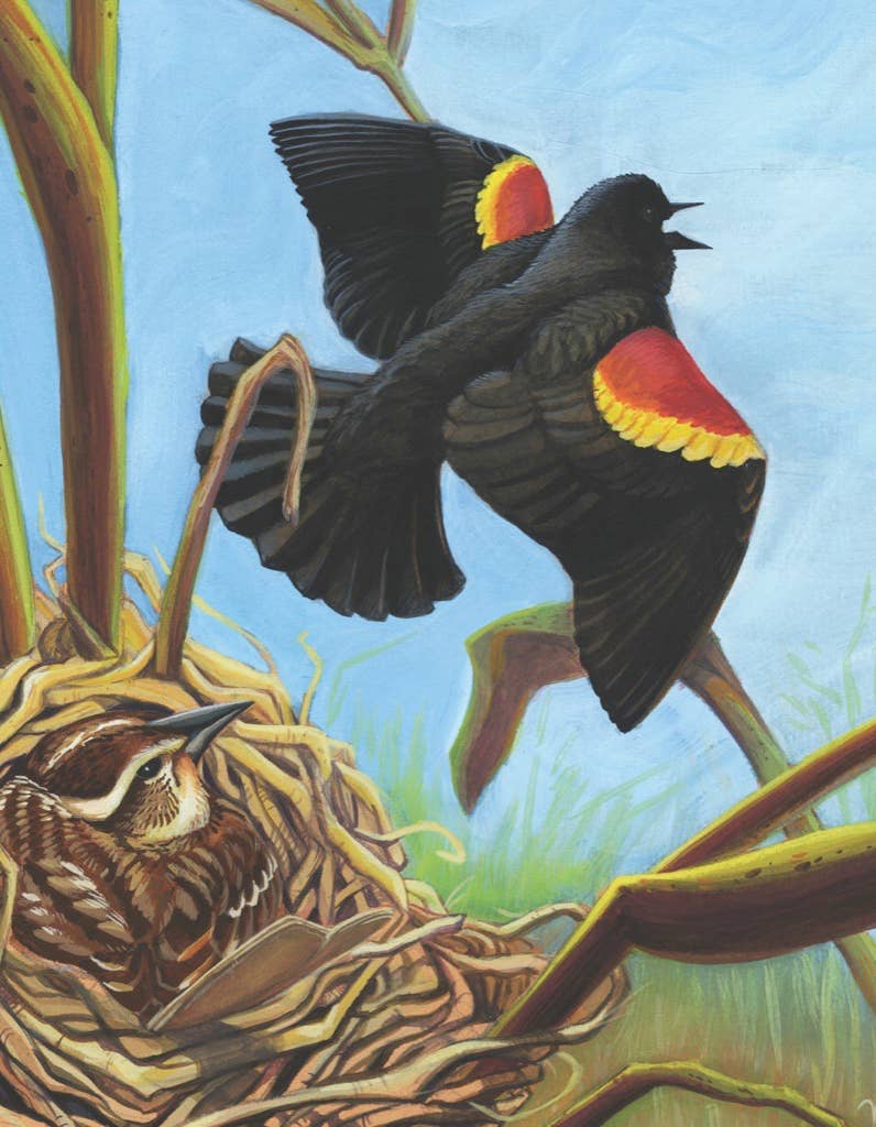 Red-winged Blackbird 100 Piece Mini Puzzle