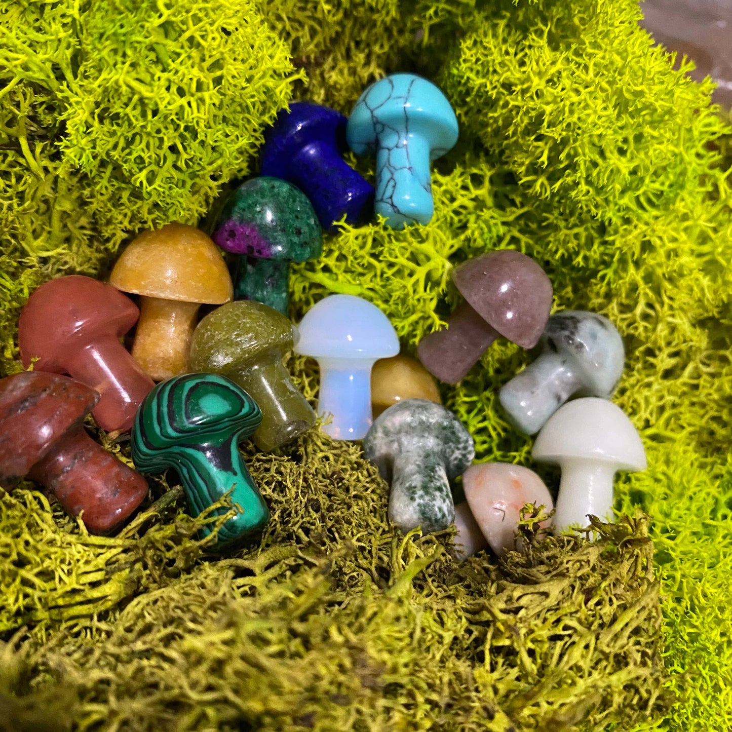 Assorted Mini Stone Mushroom