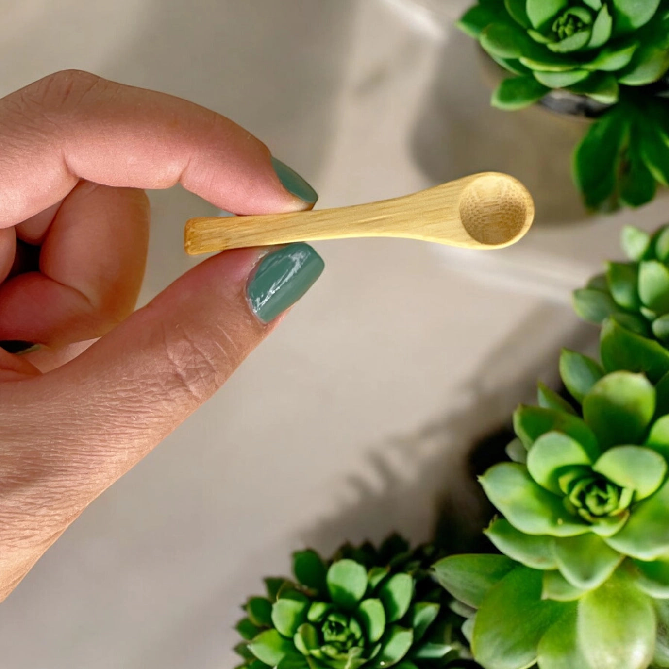 Bamboo Mini Spice Spoon