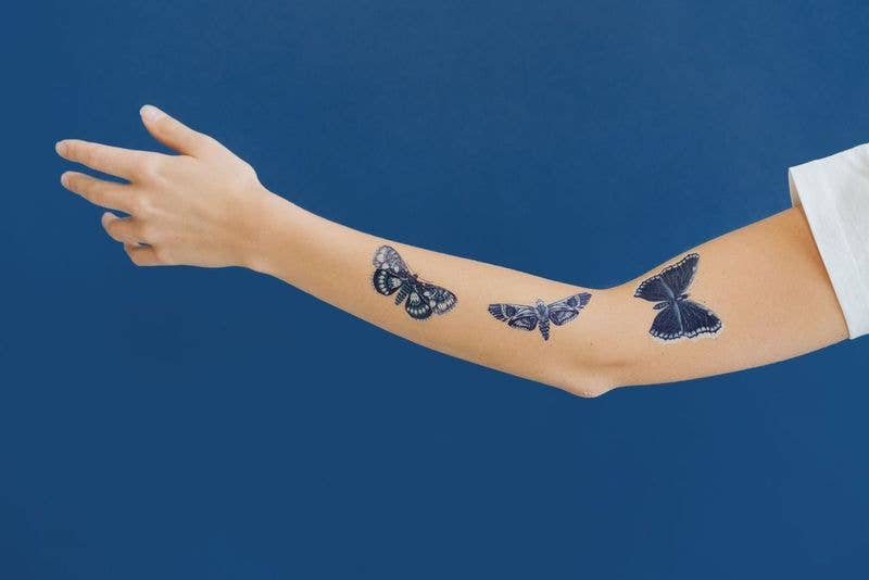 Sapphire Moths Tattoo Pair