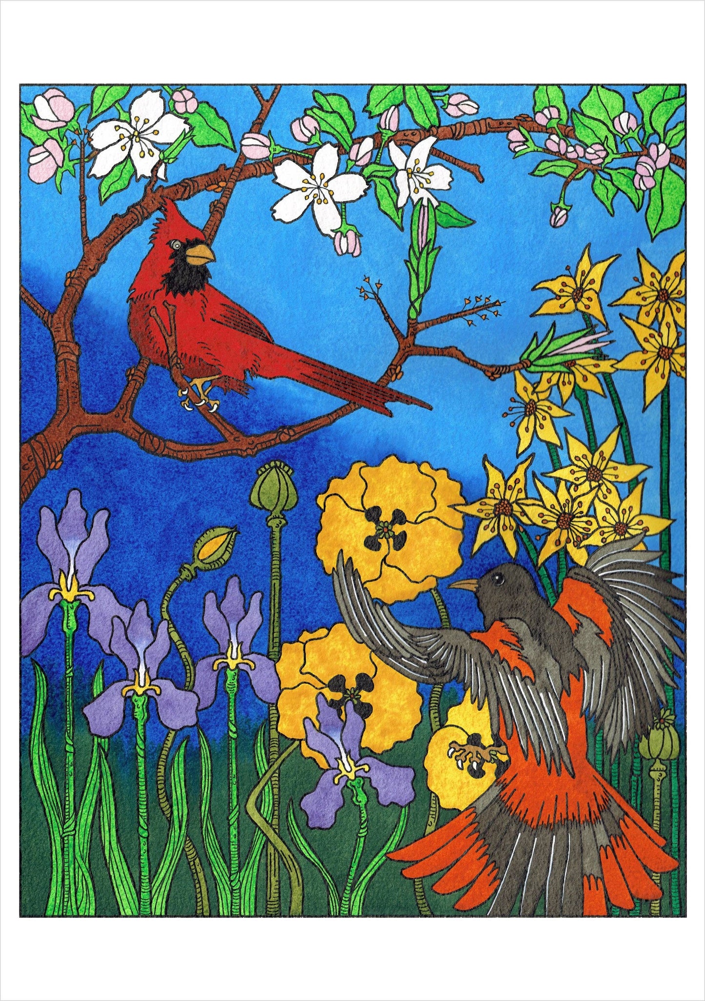 CJ Hurley: Birds Boxed Cards