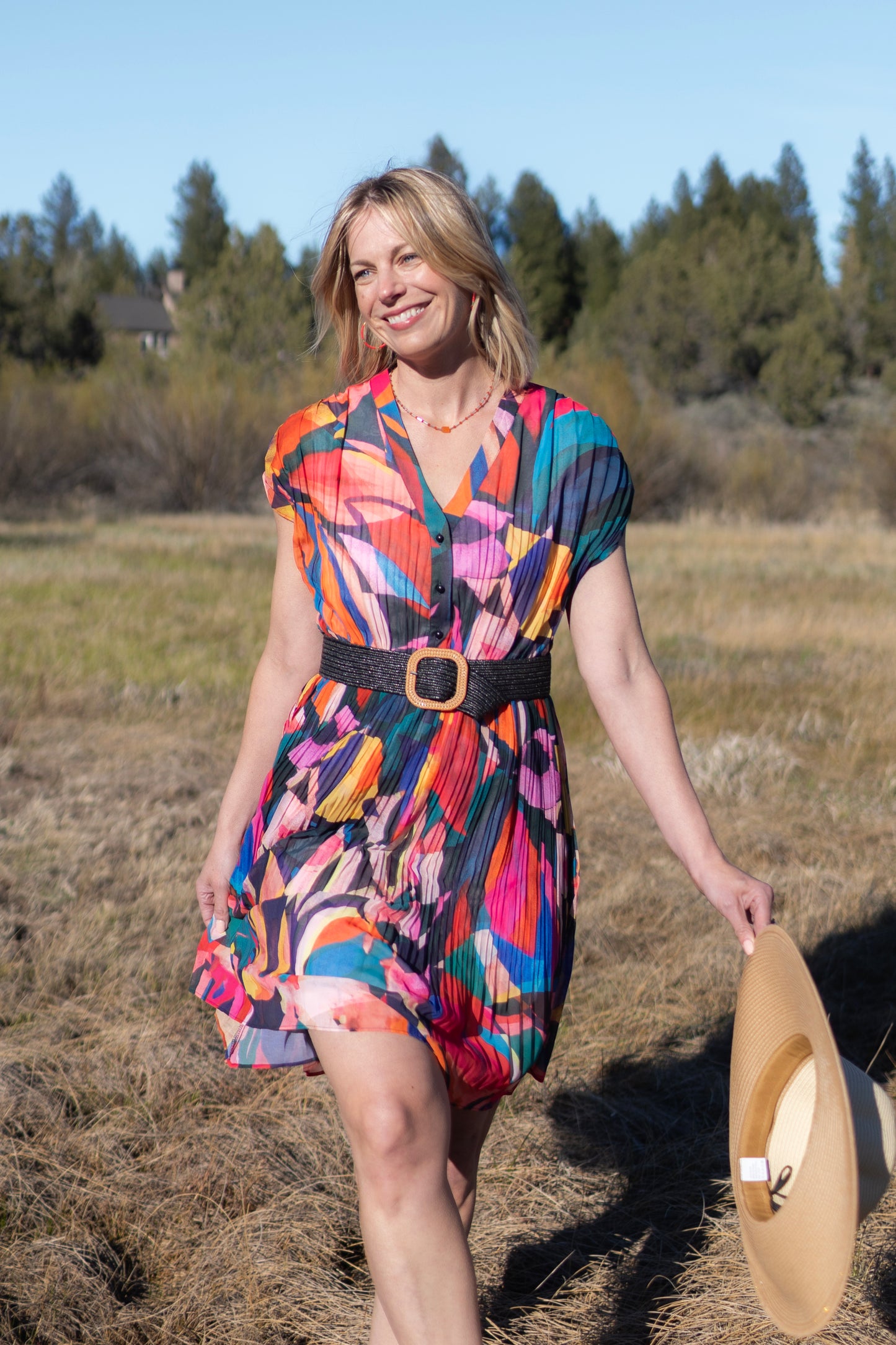 Colorful Pleated Dress