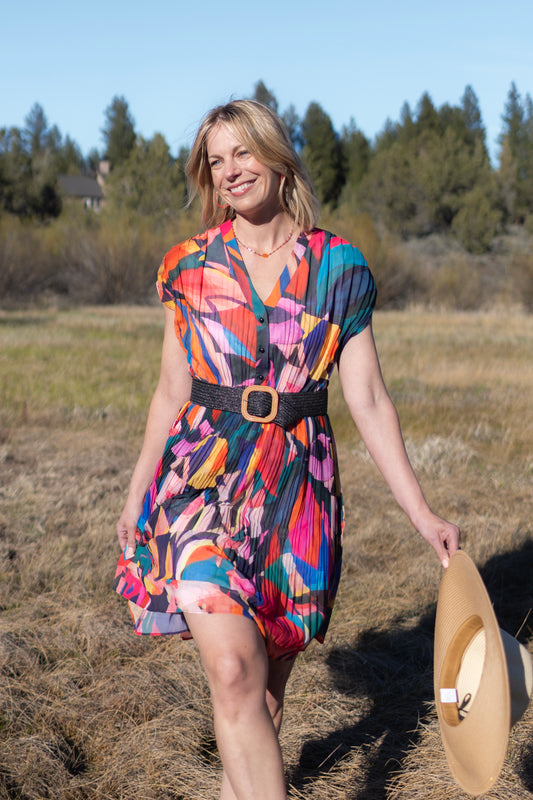 Colorful Pleated Dress