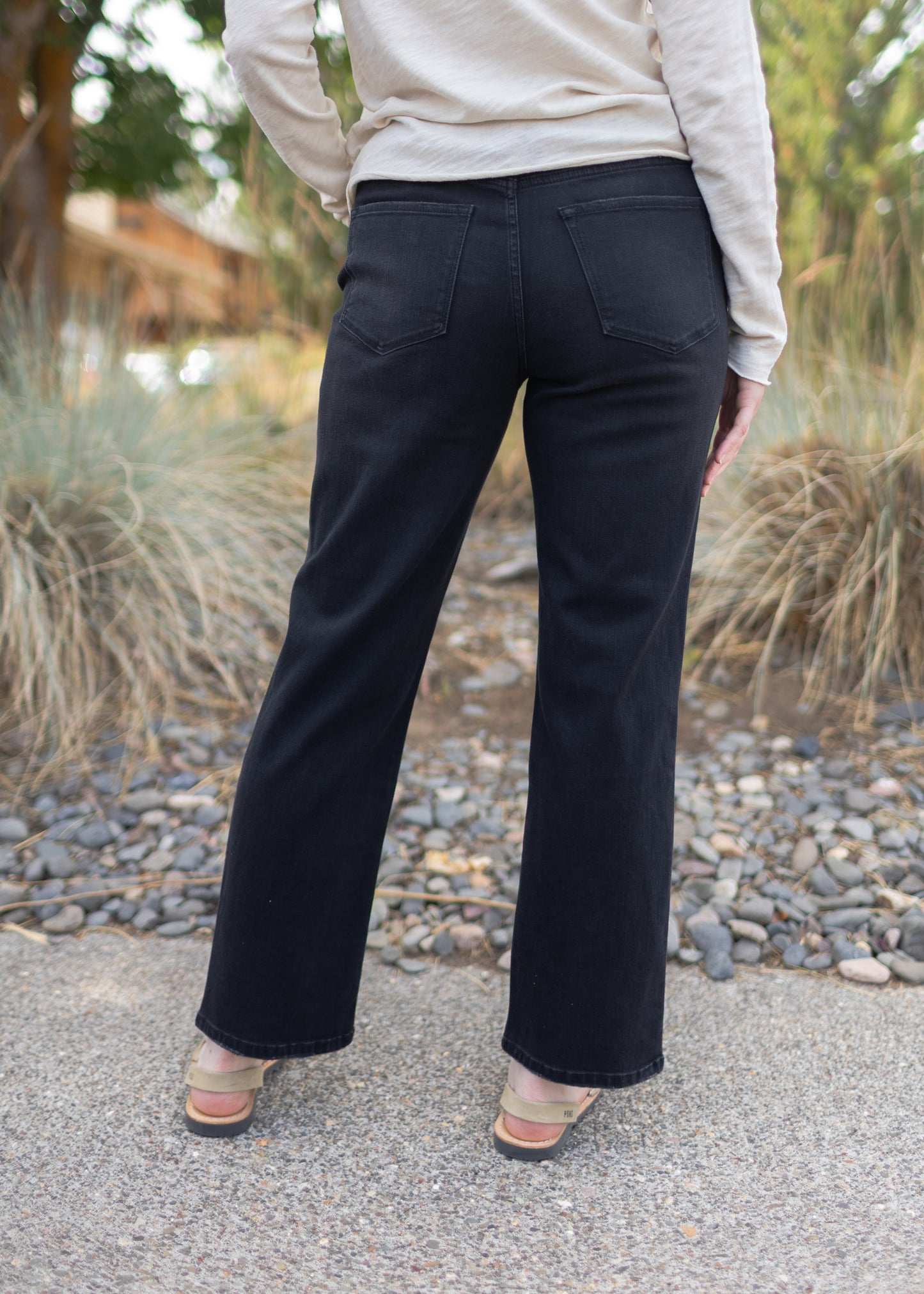 Anika Slim Jean in Jet Set | Dear John