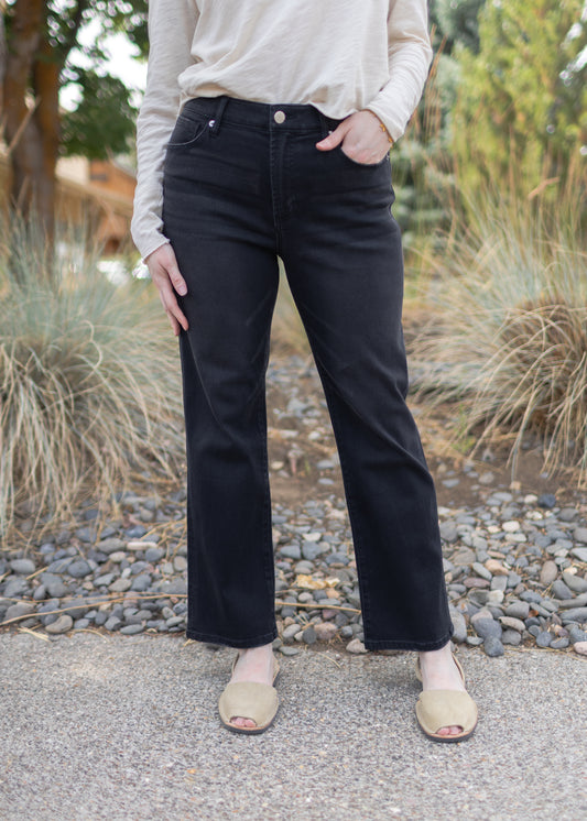 Anika Slim Jean in Jet Set | Dear John