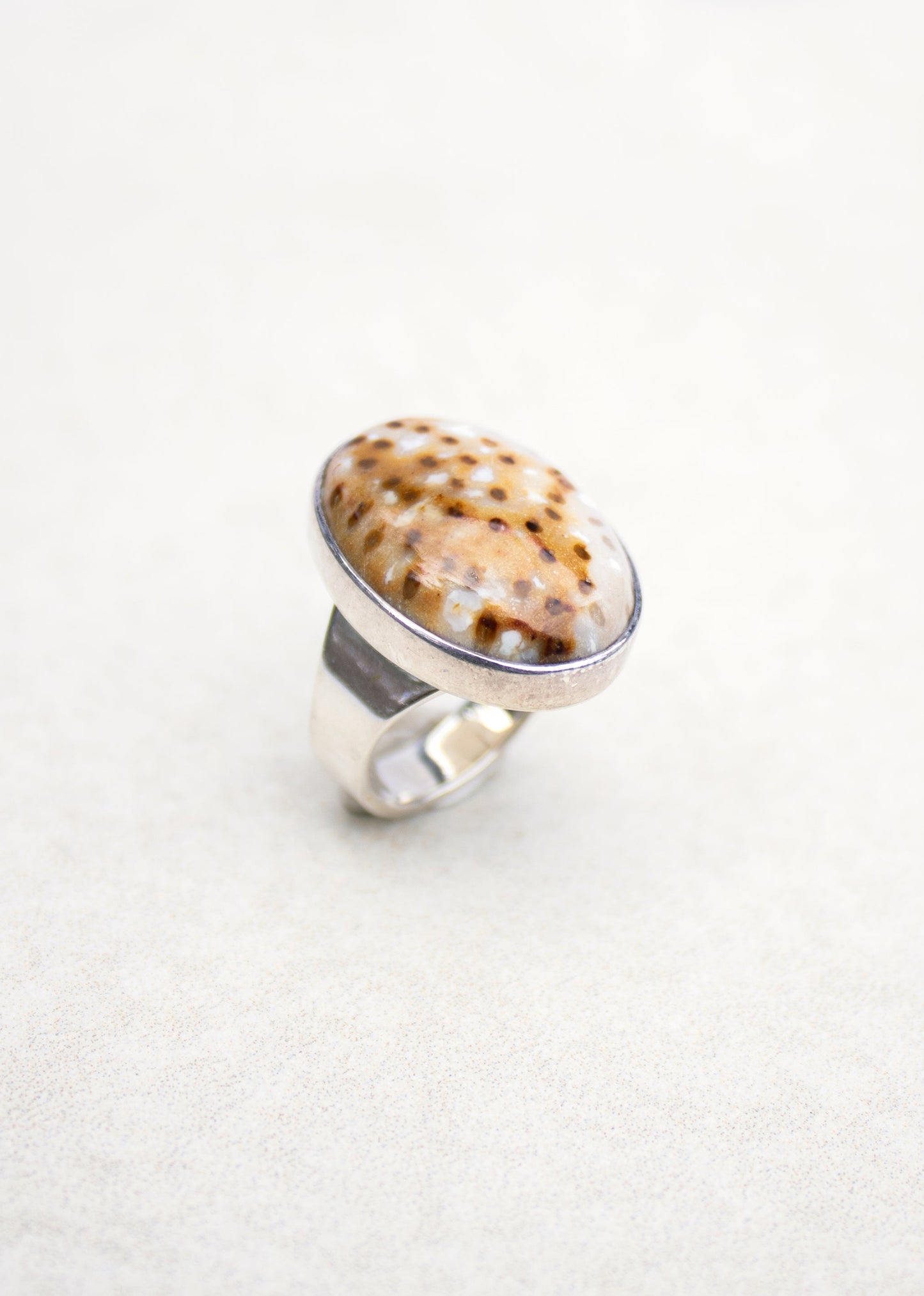 Fossilized Palm Ring | Lee McAllister