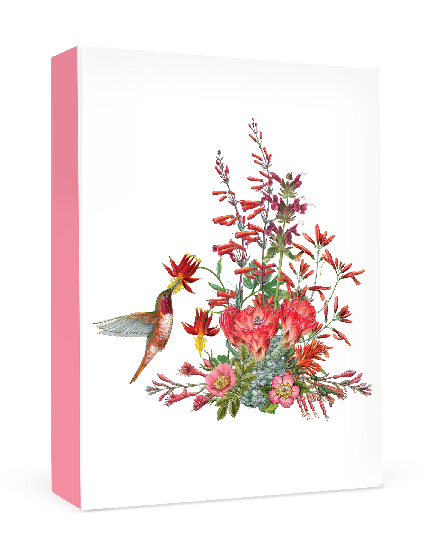 Erin E. Hunter: California Wildflowers in Red Small Boxed Cards