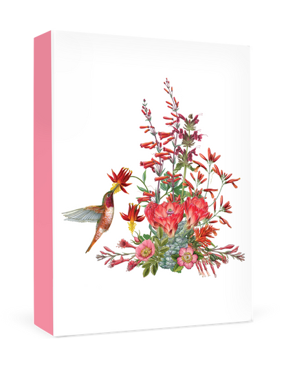 Erin E. Hunter: California Wildflowers in Red Small Boxed Cards