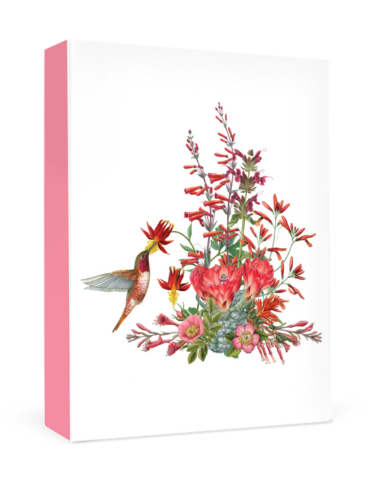 Erin E. Hunter: California Wildflowers in Red Small Boxed Cards
