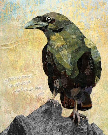 Raven Greeting Card