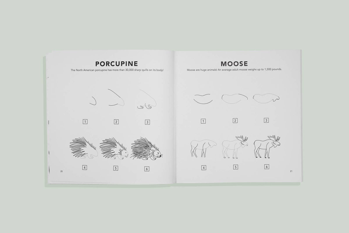 Mushrooms & Woodland Creatures: Kids How to Draw Book