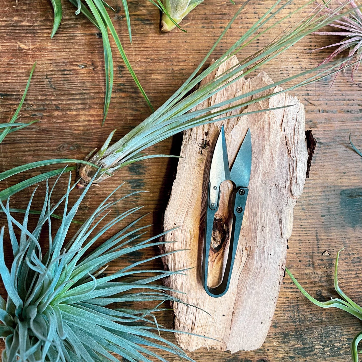 Herb Snips Gardening Tool