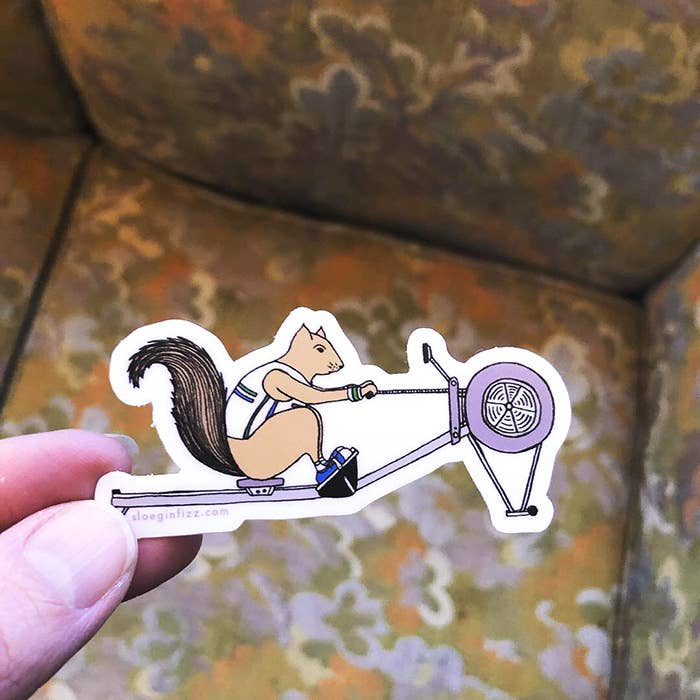 Squirrel Rowing Sticker