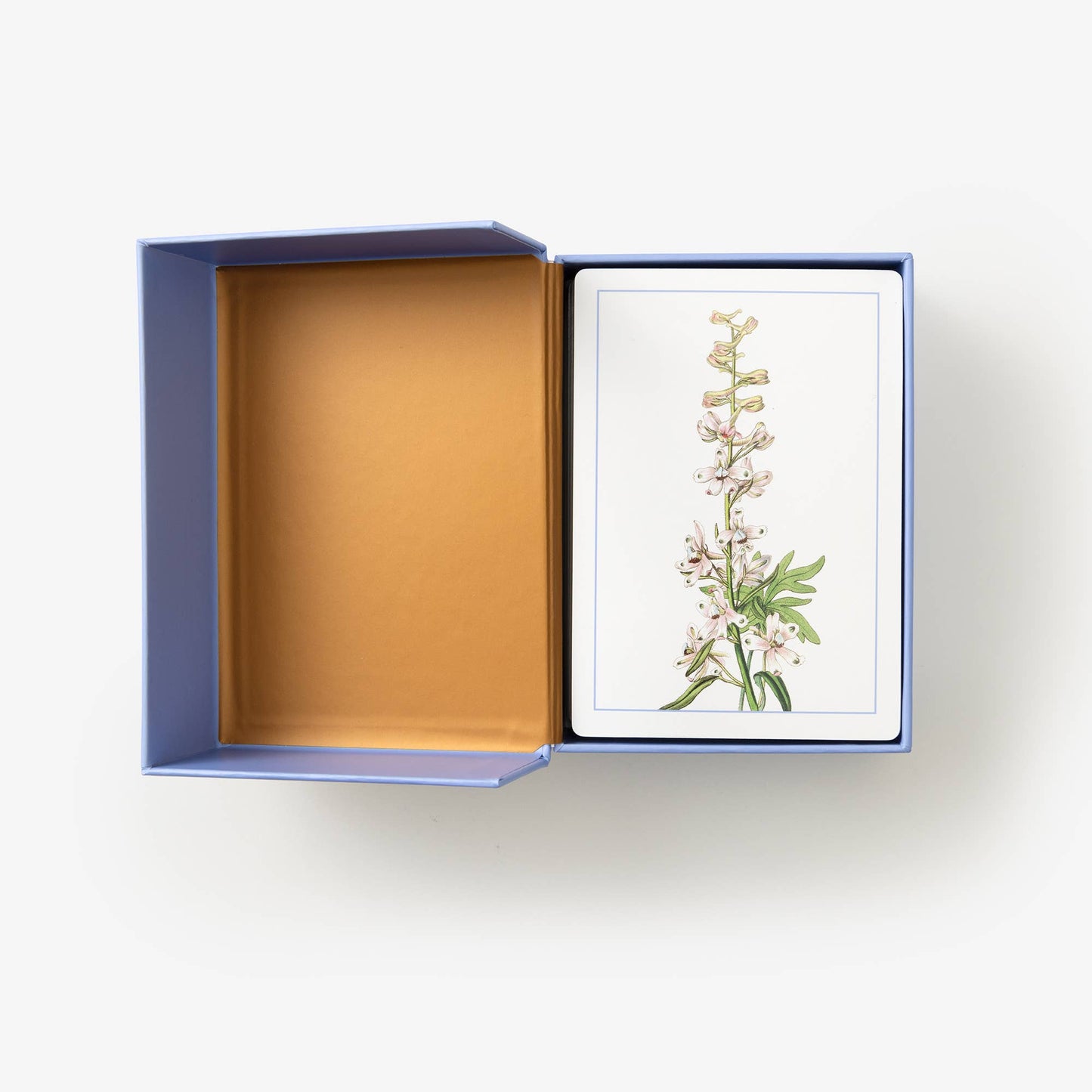 New York Botanical Wildflower Flashcards