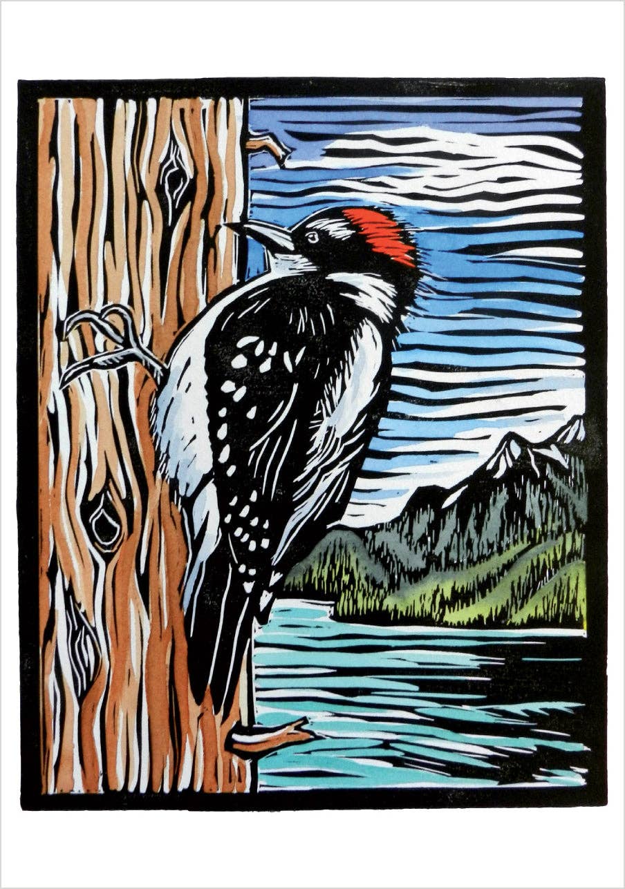 Molly Hashimoto: Birds Boxed Cards
