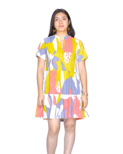 Vasa Dress in Multi Print