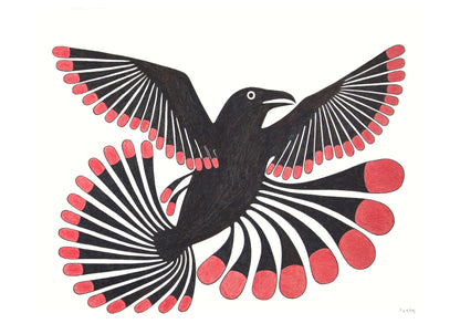 KeInuit Art Drawings Boxed Card Assortment