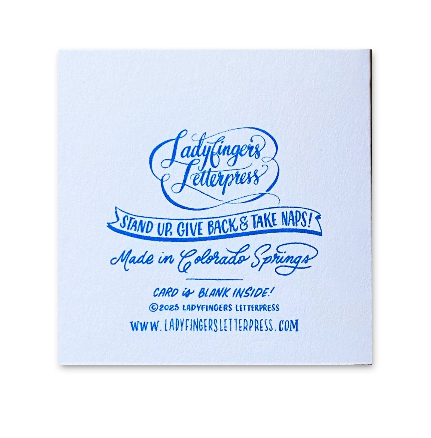 Holiday Bow Tiny Card