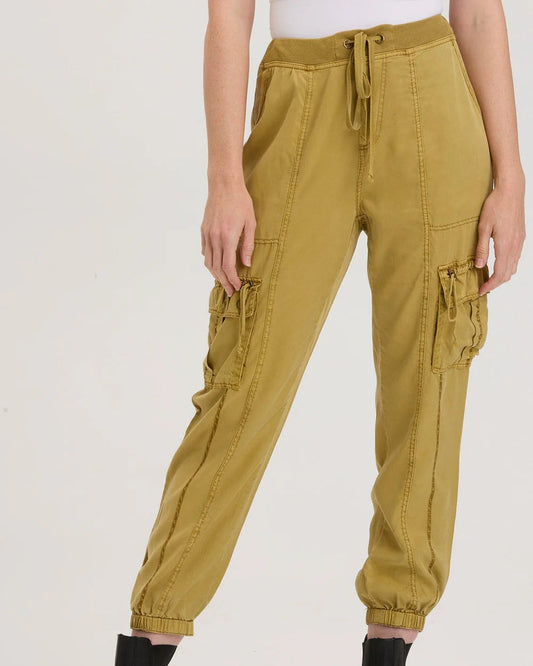 Poe Banded Pant in Herbsaint Pigment | XCVI