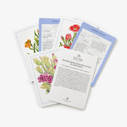 New York Botanical Wildflower Flashcards