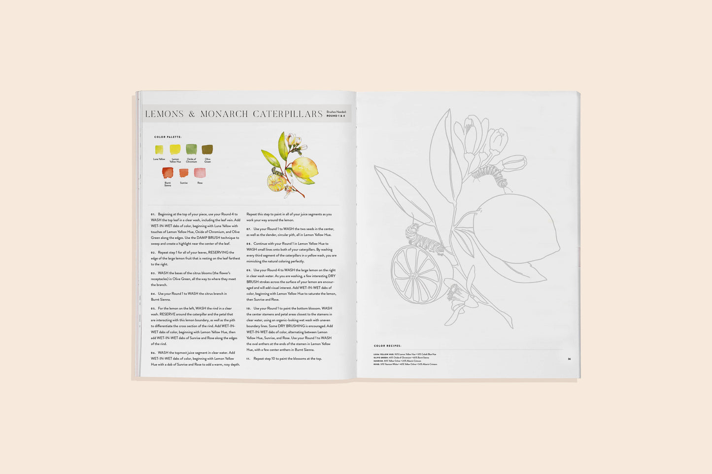 Flowers, Feathers, & Animals Watercolor Workbook