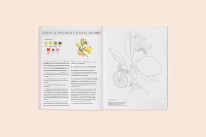 Flowers, Feathers, & Animals Watercolor Workbook