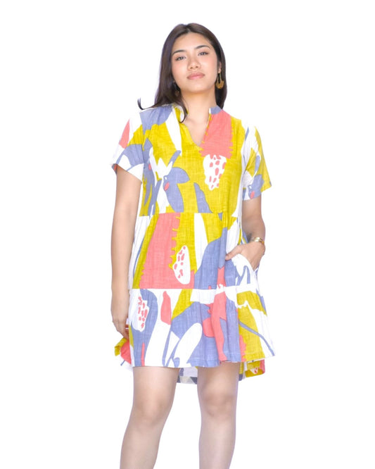 Vasa Dress in Multi Print