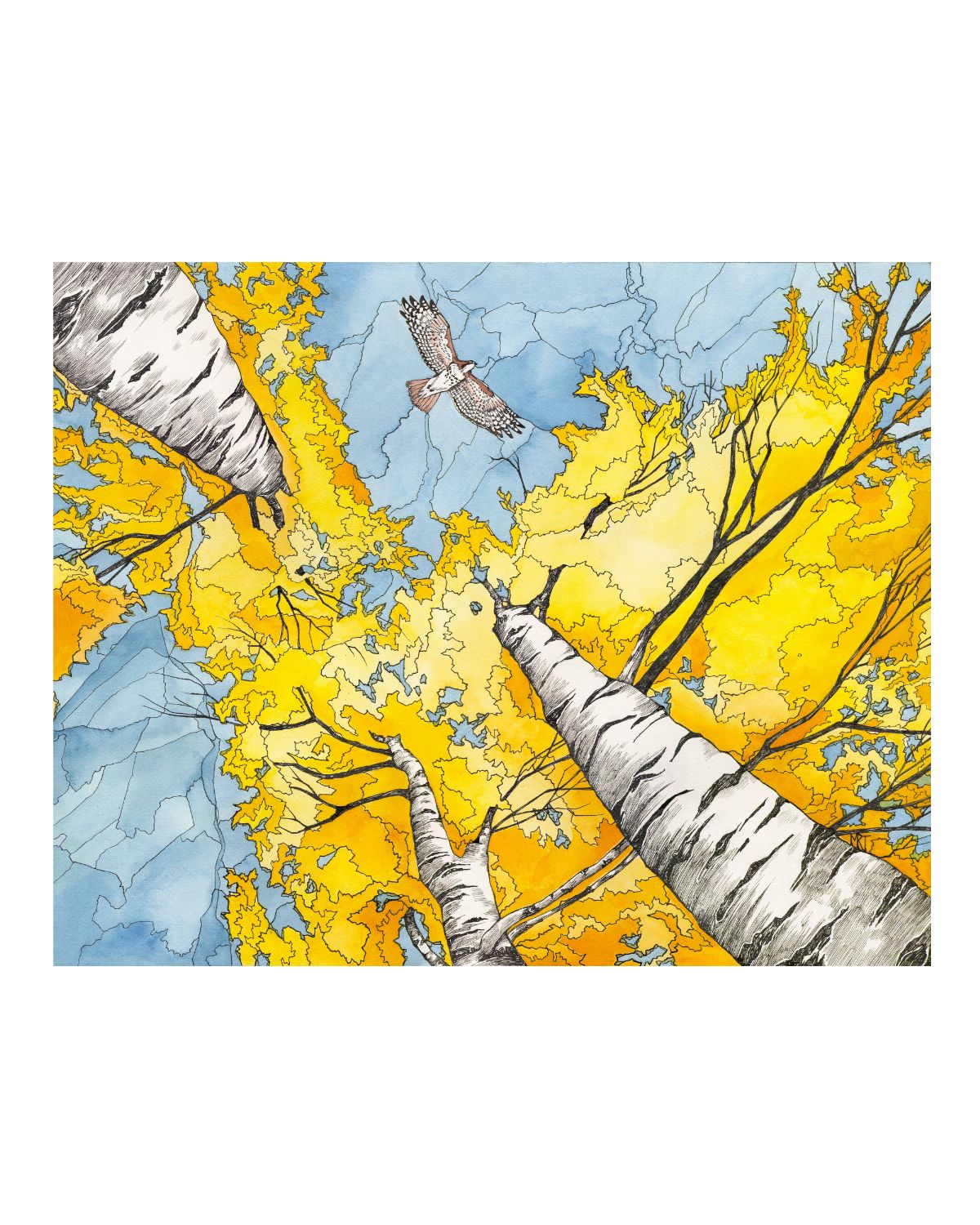 Golden Canopy Card