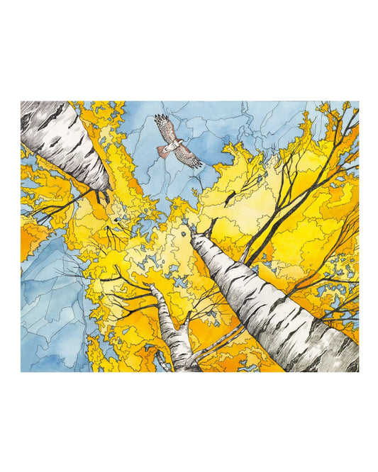 Golden Canopy Card
